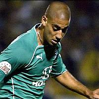 ���� ����� ����� ����������